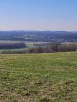 Hundeauslaufgebiet-Halde Norddeutschland-Bild