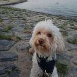 Ersteller:in Delia Profilbild