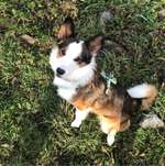 Ersteller:in Fiona Profilbild