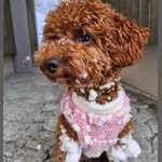 Ersteller:in Didi & Profilbild