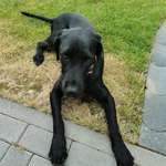 Ersteller:in Stefanie Profilbild