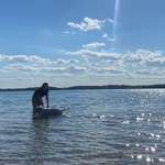 Ersteller:in Nikola Profilbild