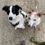 Ersteller:in Nina Profilbild