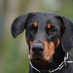 Ersteller:in J Profilbild