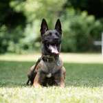 Ersteller:in Rudi Profilbild