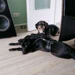 Ersteller:in Katha Profilbild