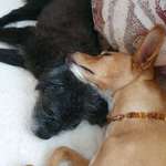 Ersteller:in Elfriede Profilbild