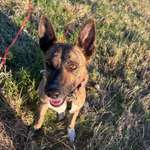 Ersteller:in Meggi Profilbild