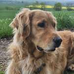 Ersteller:in Andrea Profilbild