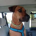 Ersteller:in Ela Profilbild