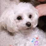 Ersteller:in Tina Profilbild