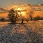 Ersteller:in T Profilbild