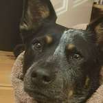 Ersteller:in Tara Profilbild