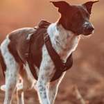 Ersteller:in Emma Profilbild