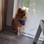 Ersteller:in Dani Profilbild