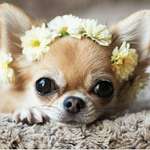 Ersteller:in Magdalena Profilbild