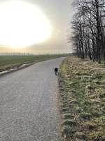 Hundeauslaufgebiet-Stausee Friemar-Bild