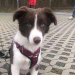 Ersteller:in Sarah Profilbild