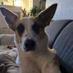 Ersteller:in Sandra Profilbild