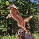 Ersteller:in Marla Profilbild