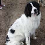 Ersteller:in Stefanie Profilbild