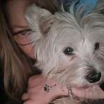 Ersteller:in Yvo Profilbild