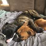 Ersteller:in Steffi Profilbild