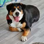 Ersteller:in Saskia Profilbild