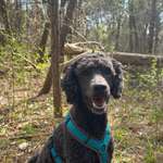 Ersteller:in Holger Profilbild