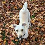 Ersteller:in Lilly Profilbild