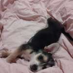 Ersteller:in Fabienne M. Profilbild