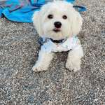 Ersteller:in julia Profilbild