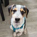 Ersteller:in Minny Profilbild