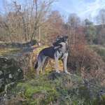 Ersteller:in Juliane Profilbild