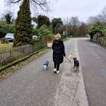 Ersteller:in chantal Profilbild