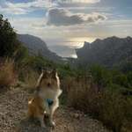 Ersteller:in Sablabla Profilbild