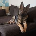 Ersteller:in Melanie Profilbild