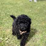 Ersteller:in Jessica Profilbild