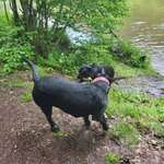 Ersteller:in Wioleta Profilbild