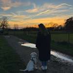 Ersteller:in Dina Profilbild