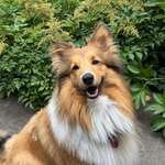 Ersteller:in Else Profilbild