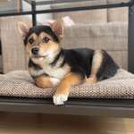 Ersteller:in Duong Profilbild