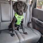 Ersteller:in Michelle Profilbild