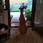 Ersteller:in Nicole Profilbild