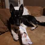 Ersteller:in Andrea Profilbild