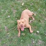 Ersteller:in Jana Profilbild