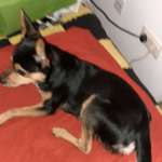 Ersteller:in Roßbach Profilbild