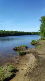 Hundeauslaufgebiet-Königsmoor-Bild