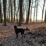 Ersteller:in Annika Profilbild