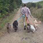 Ersteller:in Paula Profilbild